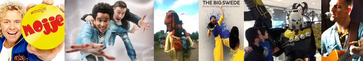 tips till festival