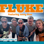 Fluke