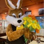 Boka skojig och rolig kaninmaskot