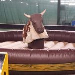 Uthyrning av rodeo tjur